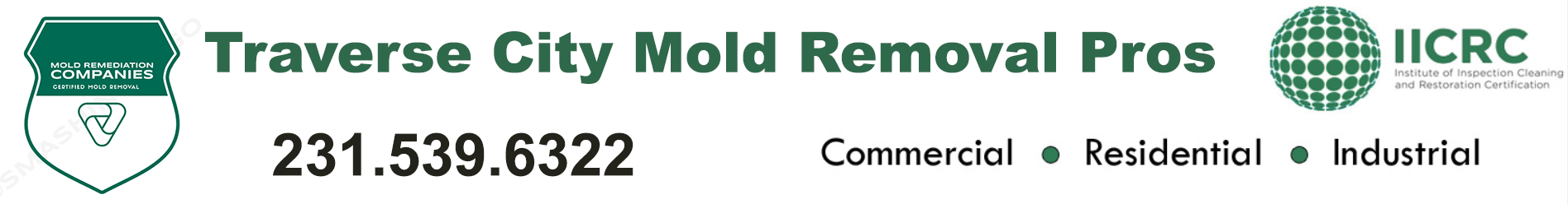 Traverse City Mold Removal Pros